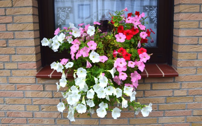 Ferienwohnung Flasche in Hattingen, Wohnung: Foto 15